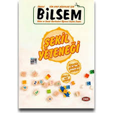 DATA BİLSEM İLKOKUL TÜM SINIF DÜZEYLERİ İÇİN ŞEKİL YETE